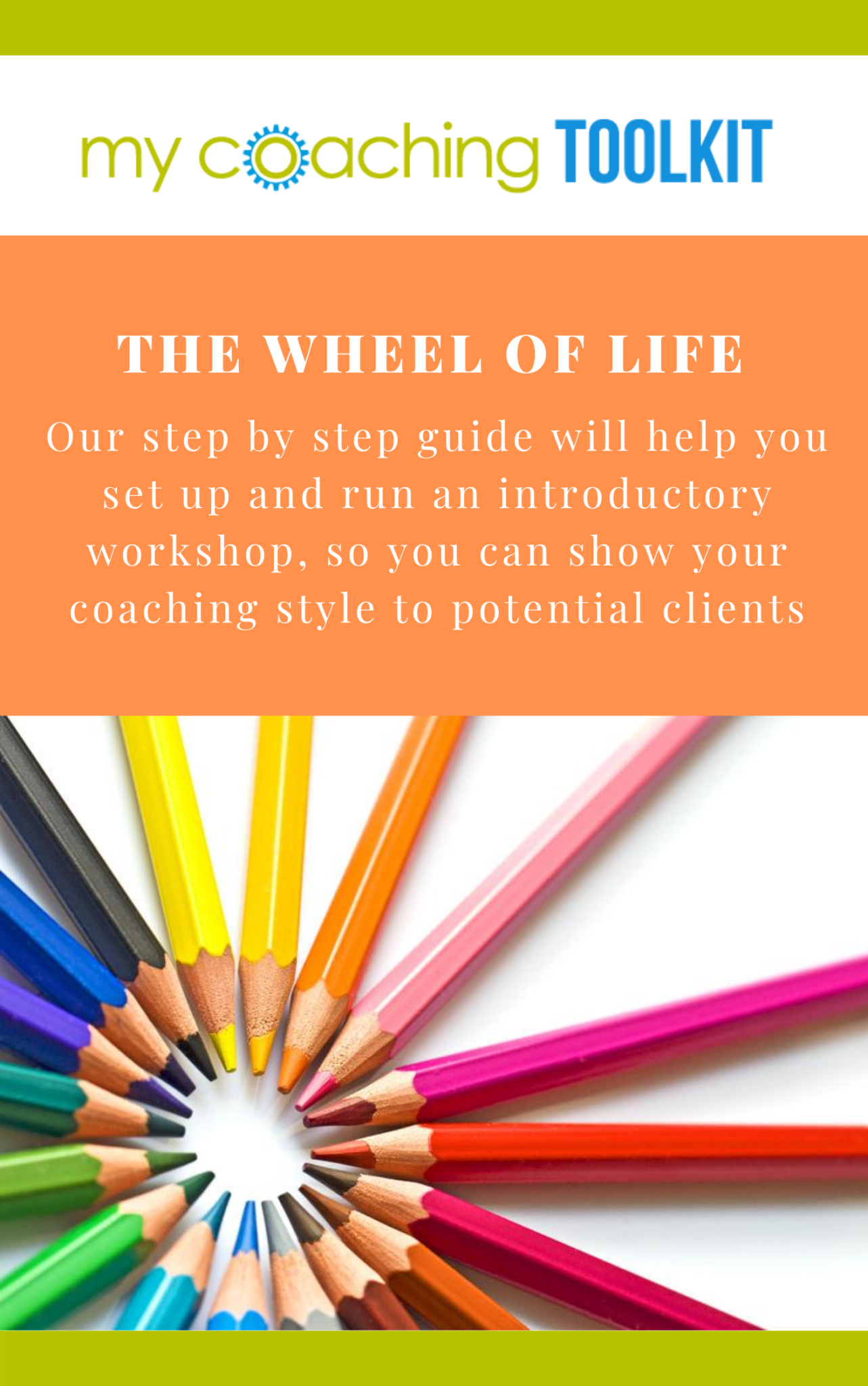wheel of life 12 coaching tool
