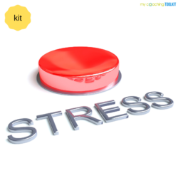 MyCoachingToolkit - Understanding Stress Workshop - Kit cover image