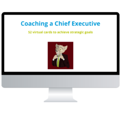Coaching a Chief Executive. My caching Toolkit