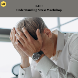 MyCoachingToolkit - Understanding Stress Workshop