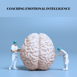 MyCoachingToolkit - Coaching Emotional Intelligence