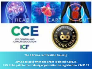 3 Brains certification
