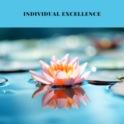 MyCoachingToolkit - Individual Excellence