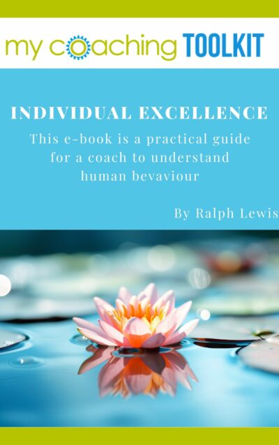 E-book Individual Excellence