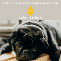 MyCoachingToolkit - I Specialise in Emotion Coaching