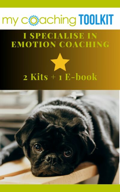 emotion coaching