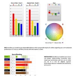 DISC and Motivators. My Coaching Toolkit