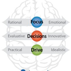 Brain profile. My Coaching Toolkit. Six Seconds