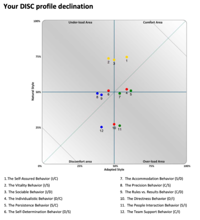 DISC Certification - Image 5