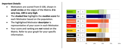 Motivators certification. My coaching Toolkit