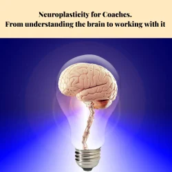 Neuroplasticity for Coaches. From understanding the brain to working with it. My Coaching Toolkit